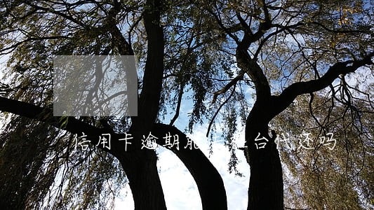 信用卡逾期能去柜台代还吗