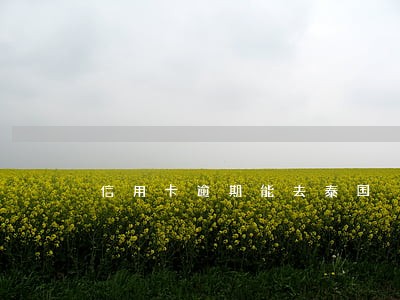 信用卡逾期能去泰国 信用卡逾期能去泰国