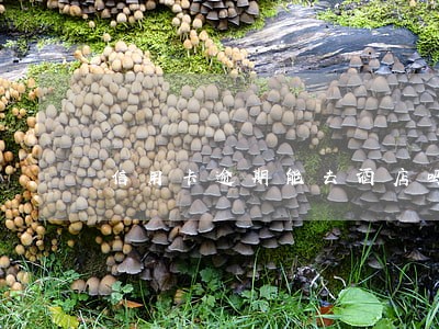 信用卡逾期能去酒店吗