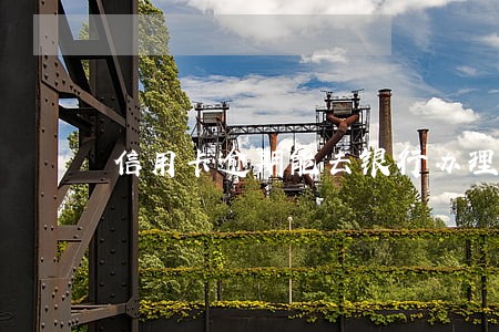 信用卡逾期能去银行办理吗 信用卡逾期能去银行办理吗