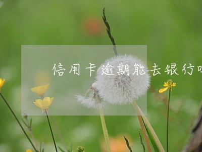 信用卡逾期能去银行吗 信用卡逾期能去银行吗