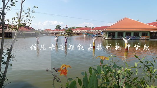 信用卡逾期能去银行抵押贷款 信用卡逾期能去银行抵押贷款