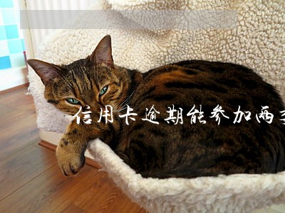 信用卡逾期能参加两委选举吗 信用卡逾期能参加两委选举吗
