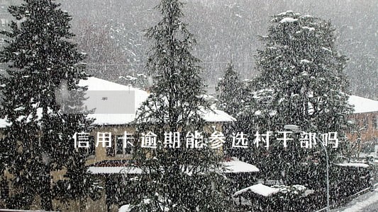 信用卡逾期能参选村干部吗 信用卡逾期能参选村干部吗