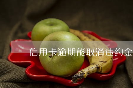 信用卡逾期能取消违约金吗 信用卡逾期能取消违约金吗