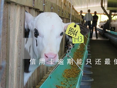 信用卡逾期能只还最低 信用卡逾期能只还最低