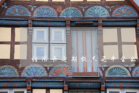 信用卡逾期能只还本金么