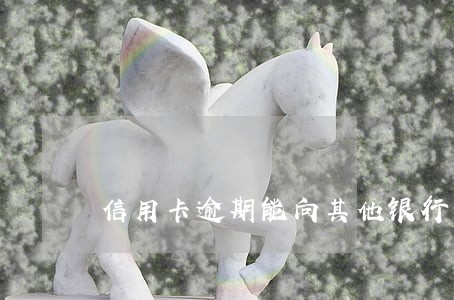 信用卡逾期能向其他银行借贷 信用卡逾期能向其他银行借贷