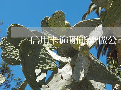 信用卡逾期能否做公司股东 信用卡逾期能否做公司股东