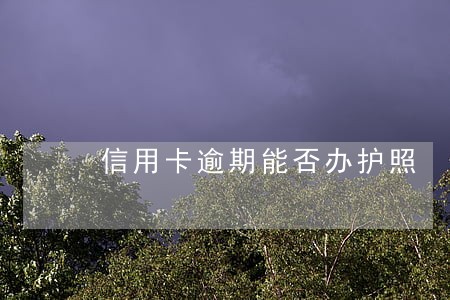 信用卡逾期能否办护照 信用卡逾期能否办护照