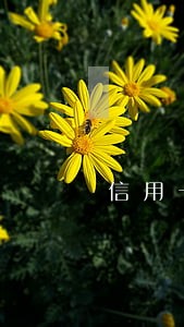 信用卡逾期能否办理营业执照 信用卡逾期能否办理营业执照