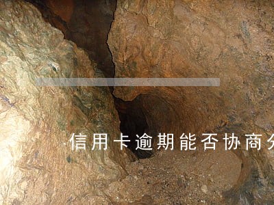 信用卡逾期能否协商分期还款 信用卡逾期能否协商分期还款