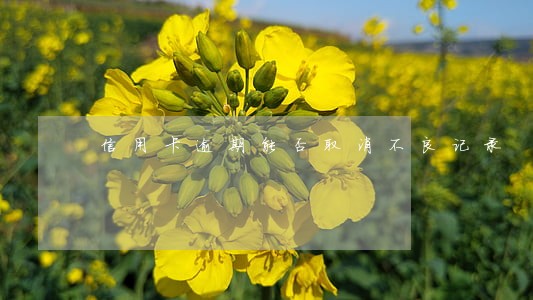 信用卡逾期能否取消不良记录