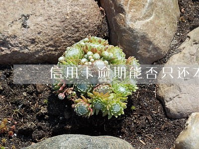 信用卡逾期能否只还本金