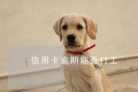 信用卡逾期能否打工 信用卡逾期能否打工