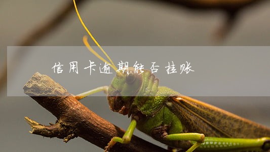 信用卡逾期能否挂账 信用卡逾期能否挂账