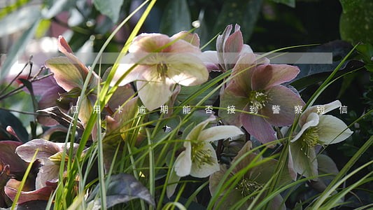 信用卡逾期能否接到警察短信