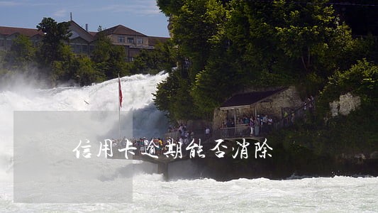 信用卡逾期能否消除