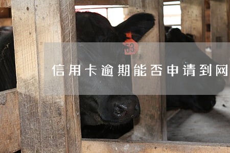 信用卡逾期能否申请到网上 信用卡逾期能否申请到网上