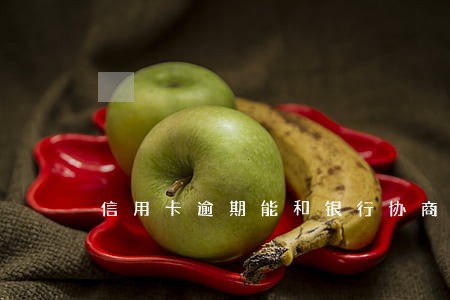 信用卡逾期能和银行协商免息吗