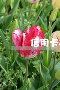 信用卡逾期能在厂里上班吗 信用卡逾期能在厂里上班吗