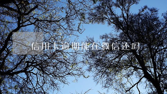 信用卡逾期能在微信还吗 信用卡逾期能在微信还吗