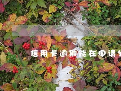 信用卡逾期能在申请分期还 信用卡逾期能在申请分期还