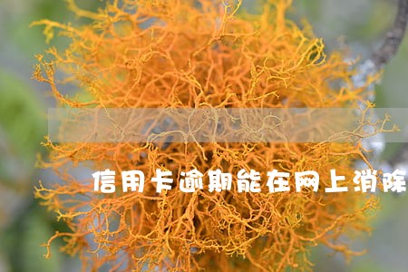 信用卡逾期能在网上消除吗 信用卡逾期能在网上消除吗