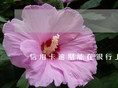 信用卡逾期能在银行上班嘛 信用卡逾期能在银行上班嘛