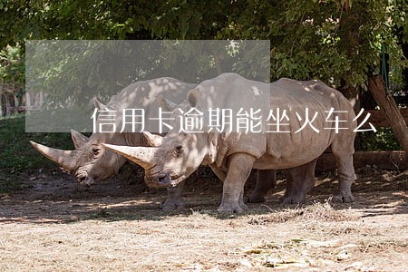 信用卡逾期能坐火车么 信用卡逾期能坐火车么