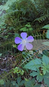 信用卡逾期能坐牢 信用卡逾期能坐牢