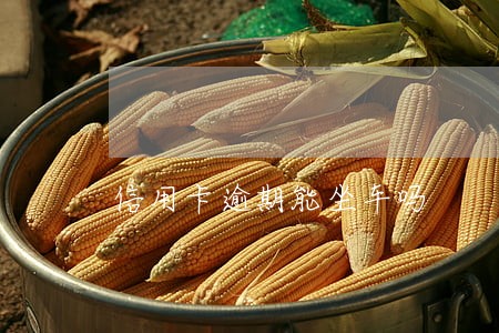 信用卡逾期能坐车吗 信用卡逾期能坐车吗