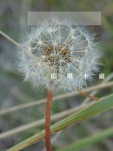 信用卡逾期能坐高铁飞机吗 信用卡逾期能坐高铁飞机吗