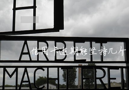 信用卡逾期能坚持几个月