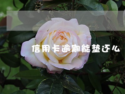 信用卡逾期能垫还么 信用卡逾期能垫还么