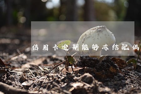 信用卡逾期能够冻结配偶账户吗 信用卡逾期能够冻结配偶账户吗