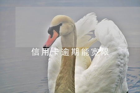 信用卡逾期能宽限 信用卡逾期能宽限