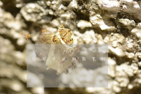 信用卡逾期能宽限吗 信用卡逾期能宽限吗