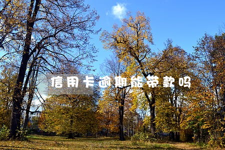 信用卡逾期能带款吗 信用卡逾期能带款吗
