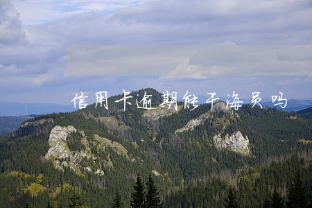 信用卡逾期能干海员吗