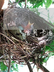 信用卡逾期能延期吗
