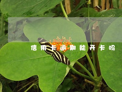 信用卡逾期能开卡吗 信用卡逾期能开卡吗