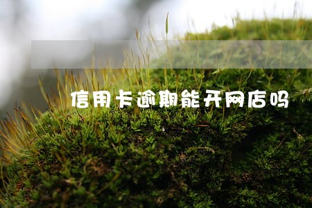 信用卡逾期能开网店吗