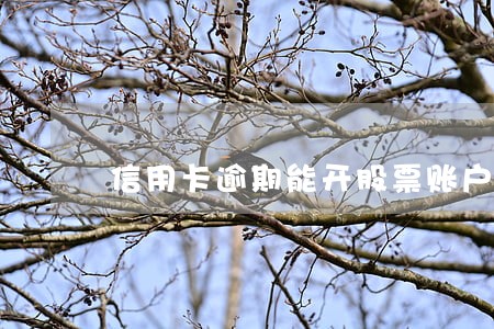 信用卡逾期能开股票账户吗 信用卡逾期能开股票账户吗