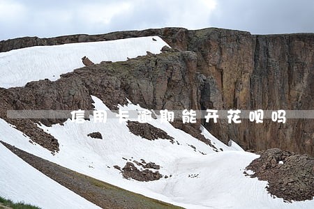 信用卡逾期能开花呗吗 信用卡逾期能开花呗吗