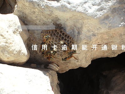 信用卡逾期能开通微粒贷吗 信用卡逾期能开通微粒贷吗
