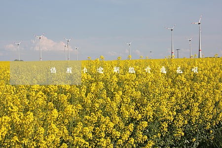 信用卡逾期能开通花呗 信用卡逾期能开通花呗