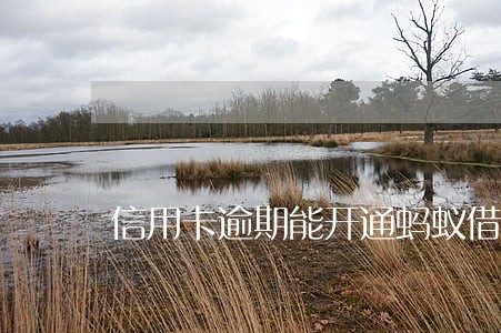 信用卡逾期能开通蚂蚁借呗吗 信用卡逾期能开通蚂蚁借呗吗