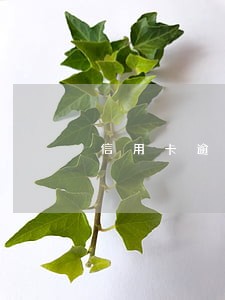 信用卡逾期能开银行储存卡吗 信用卡逾期能开银行储存卡吗