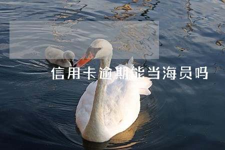 信用卡逾期能当海员吗 信用卡逾期能当海员吗